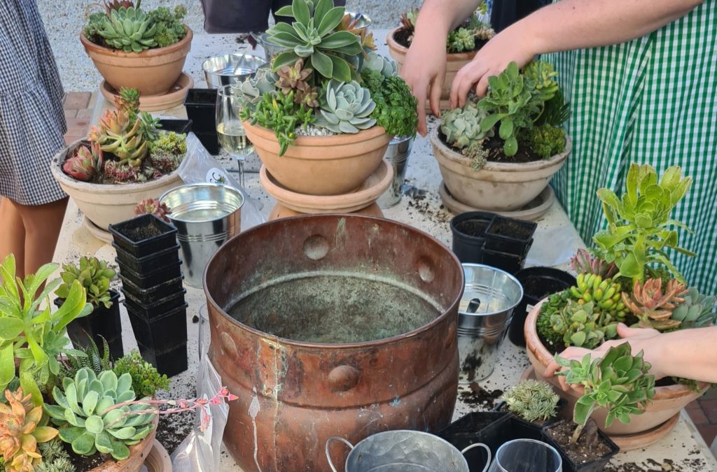 Host a gardening workshop at Chateau Nesbit